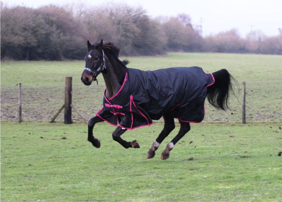 350g standard pink 1