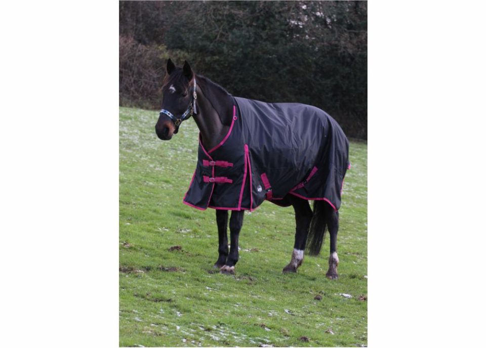 350g standard pink 2