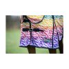 rainbow fly rug 1