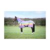 rainbow fly rug