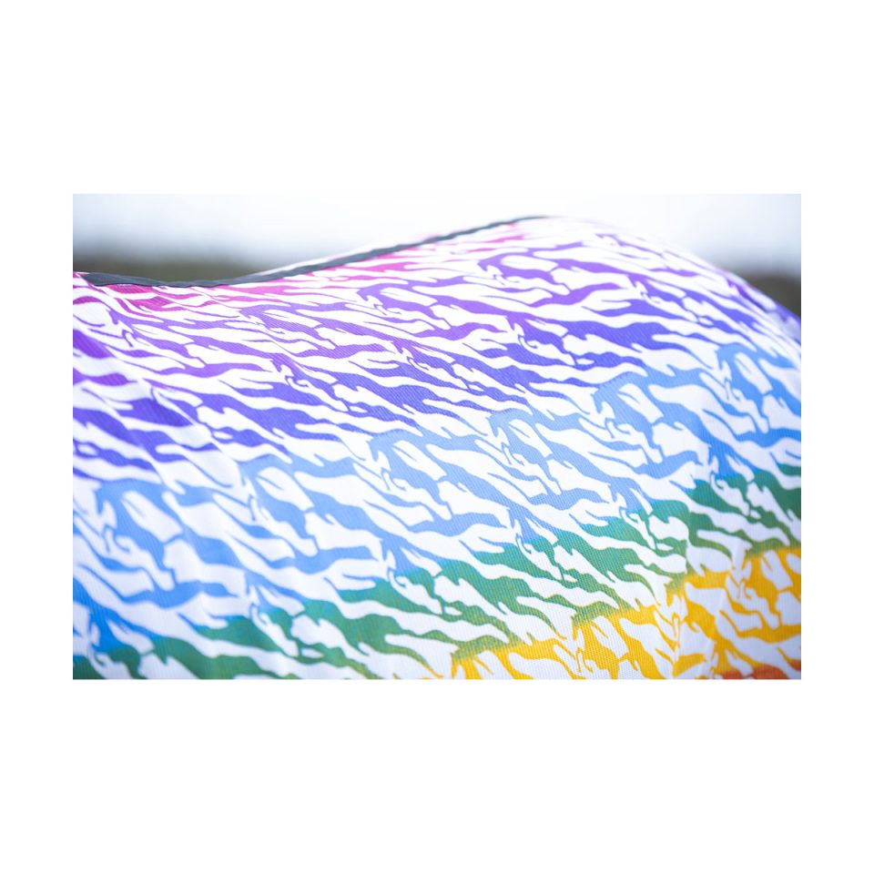 rainbow fly rug 4
