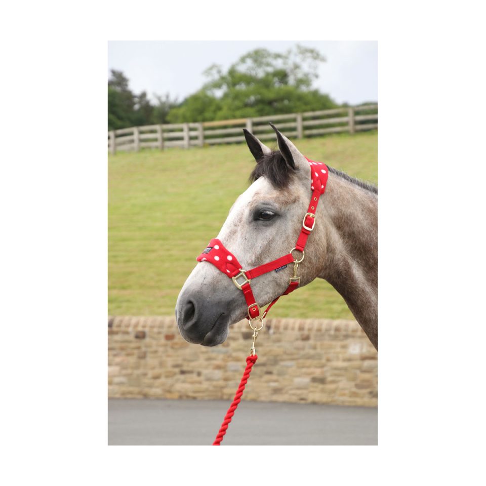 Dotty-Fleece-Head-Collar-&-Lead-Rope-01 (1)