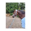 Dotty-Fleece-Head-Collar-&-Lead-Rope-Beautiful-Blue-Lifestyle-01
