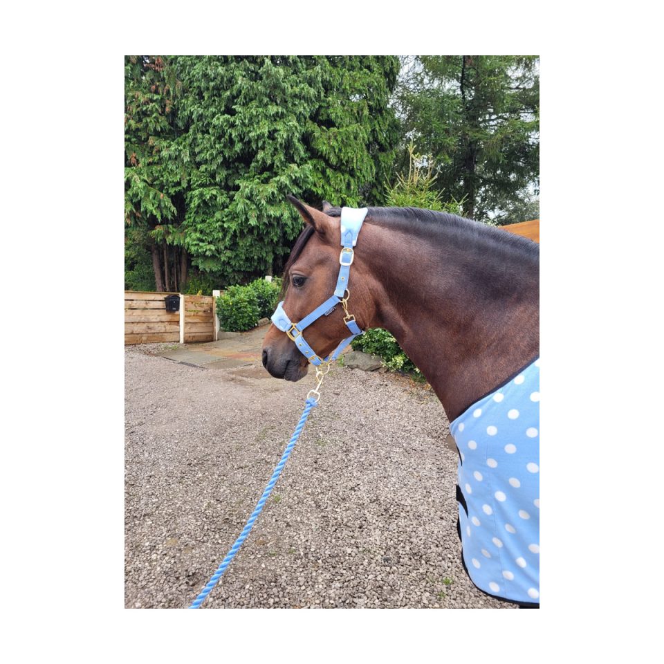 Dotty-Fleece-Head-Collar-&-Lead-Rope-Beautiful-Blue-Lifestyle-01