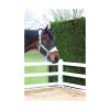 Dotty-Fleece-Head-Collar-&-Lead-Rope-Beautiful-Blue-Lifestyle-02