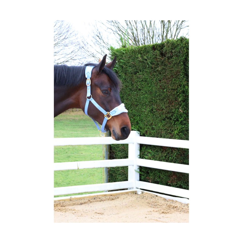 Dotty-Fleece-Head-Collar-&-Lead-Rope-Beautiful-Blue-Lifestyle-02