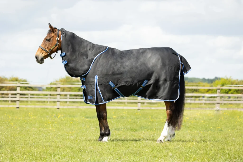 StormX Empra Extra 200g Turnout Rug with Detachable Neck