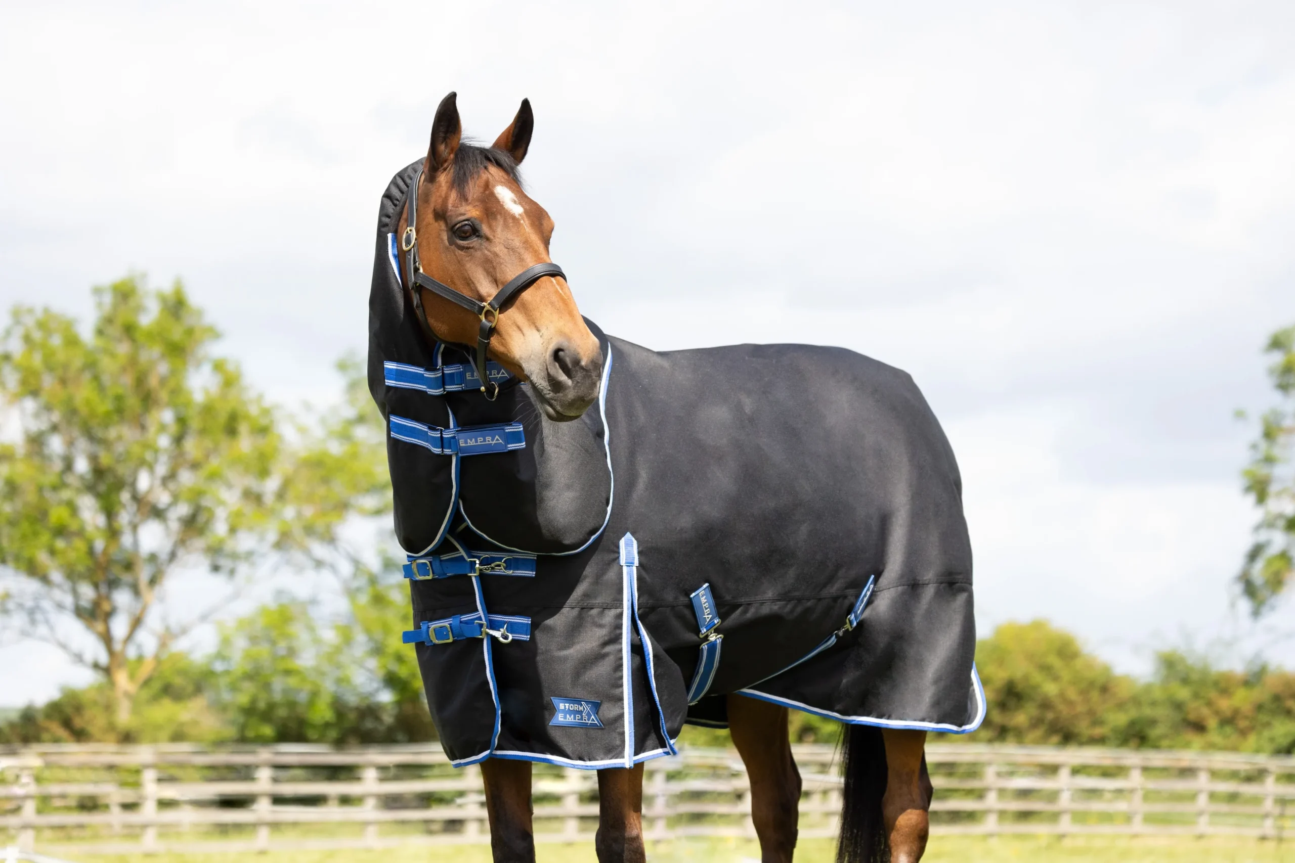StormX Empra Extra 200g Turnout Rug with Detachable Neck - Image 3