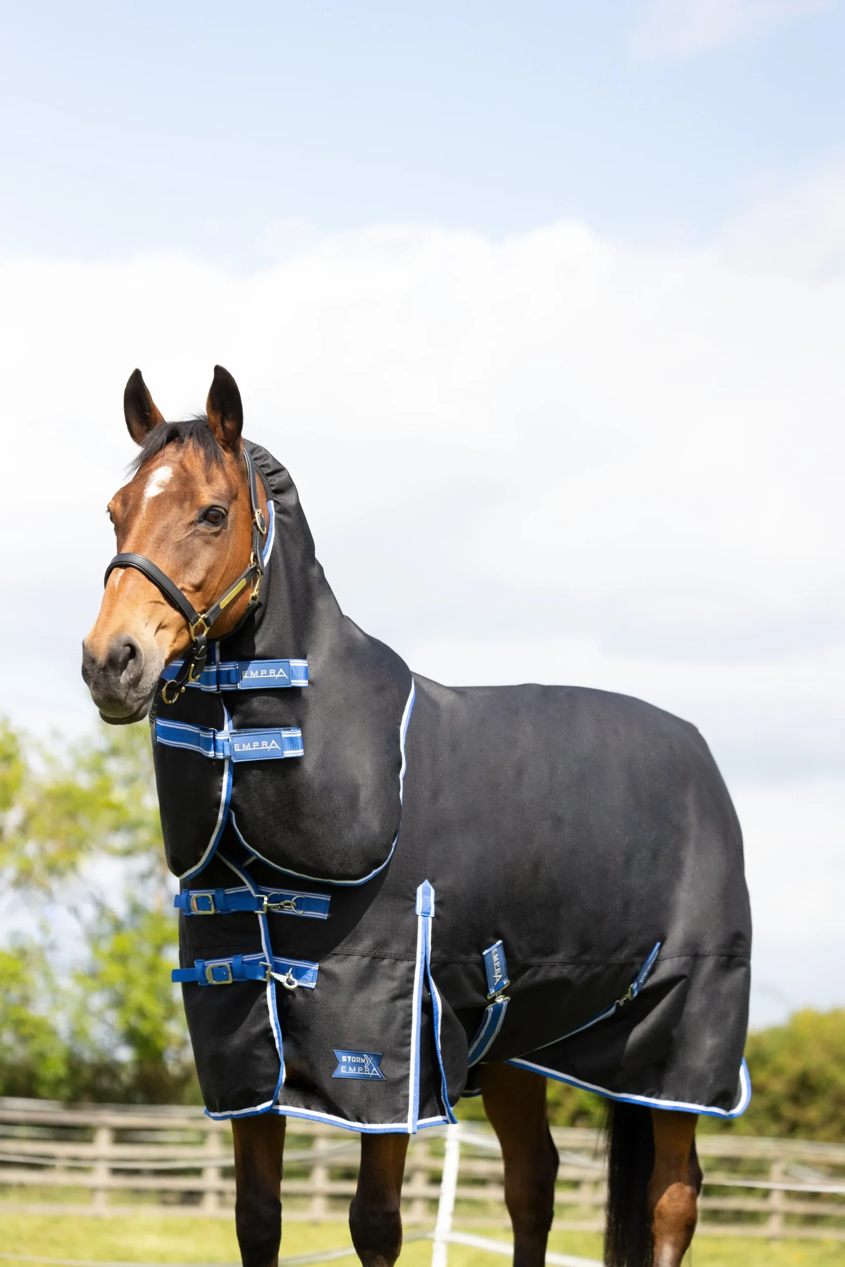 StormX Empra Extra 200g Turnout Rug with Detachable Neck - Image 4