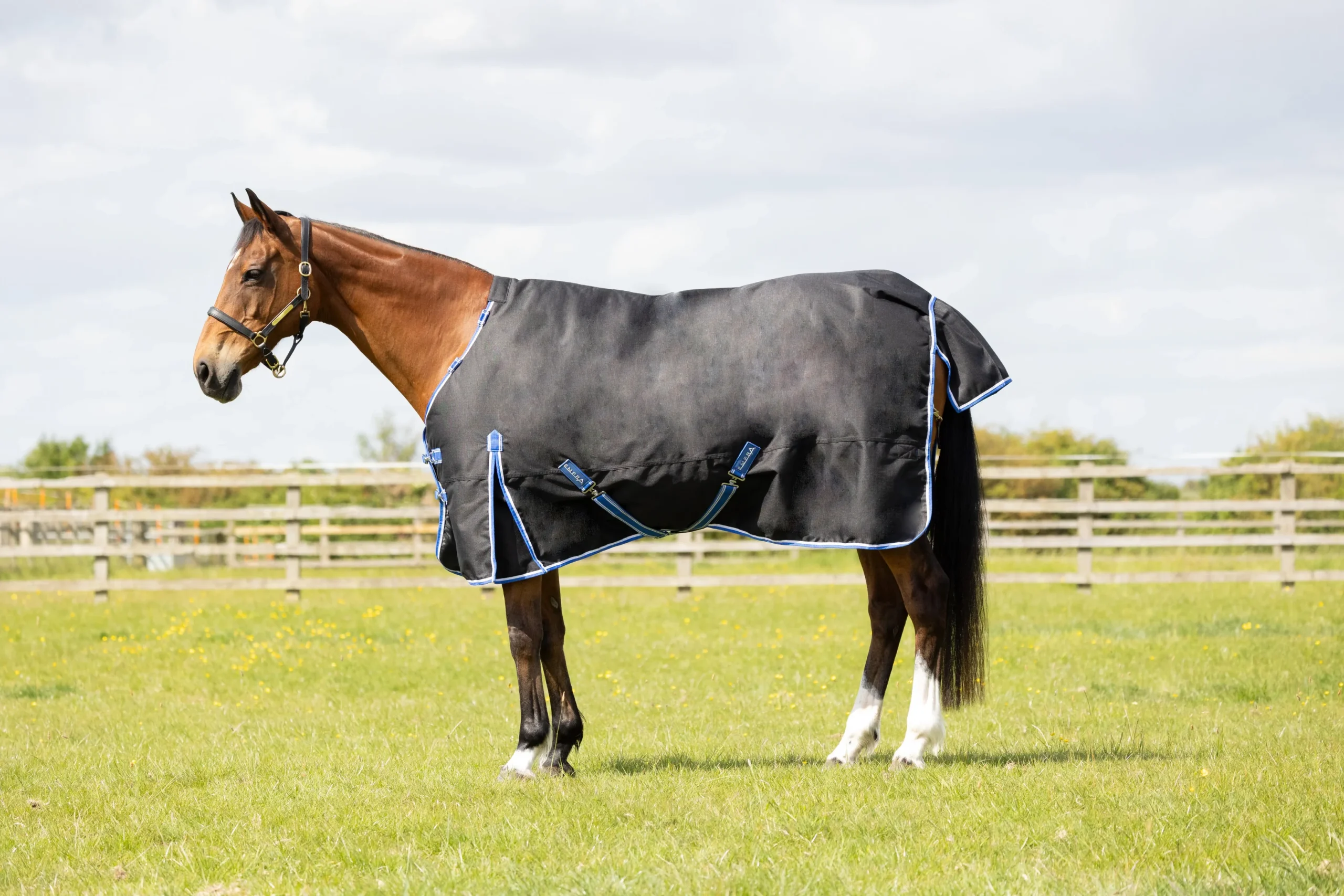 StormX Empra Extra 200g Turnout Rug with Detachable Neck - Image 2
