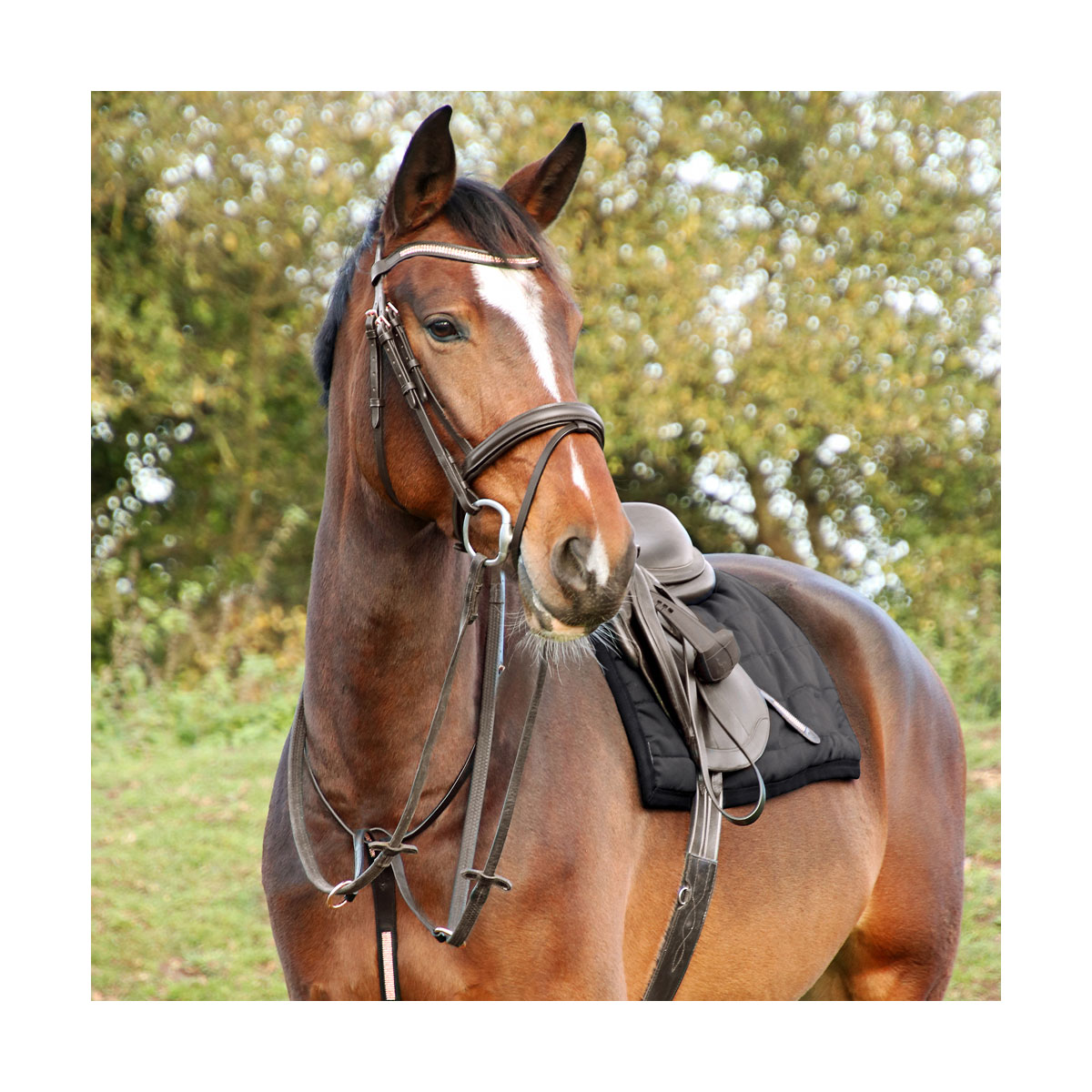 Hy Equestrian Rosciano Rose Gold Stirrup Leathers - Image 3