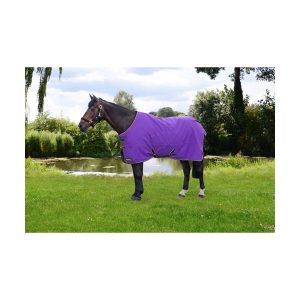 StormX Original 50 Turnout Rug