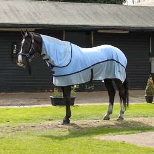 Equilibrium Quick Chill Cool Rug Detachable Neck Light Blue