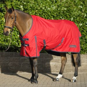 Whitaker Rastrick 100g Standard Turnout Size 4’3