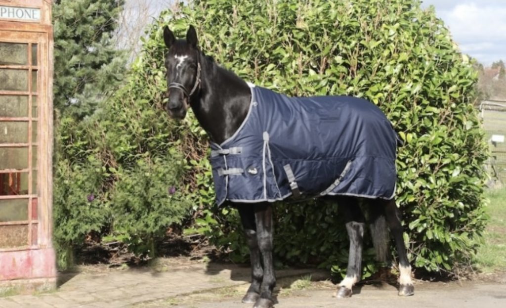100g Standard Turnout Rug 5'3 to 7'0