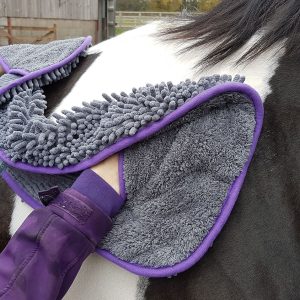 Henry Wag Equine Noodle Glove Towel