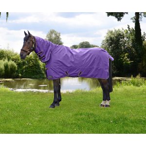 StormX Original 50g Combi Turnout Rug Sizes 4'6 & 7'0