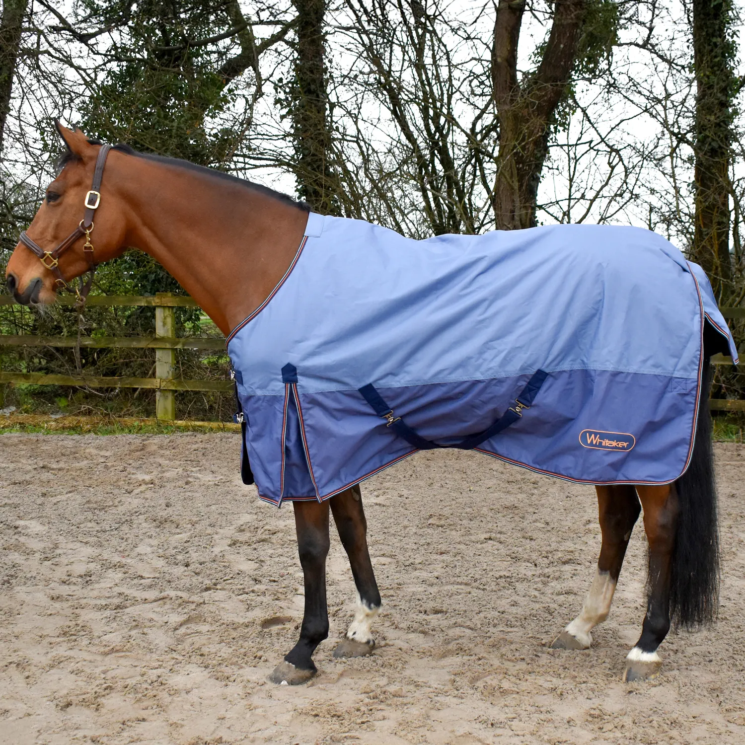 John Whitaker 100g Lupin Turnout Rug Sizes 4'6, 4'9 & 6'3 - Image 2