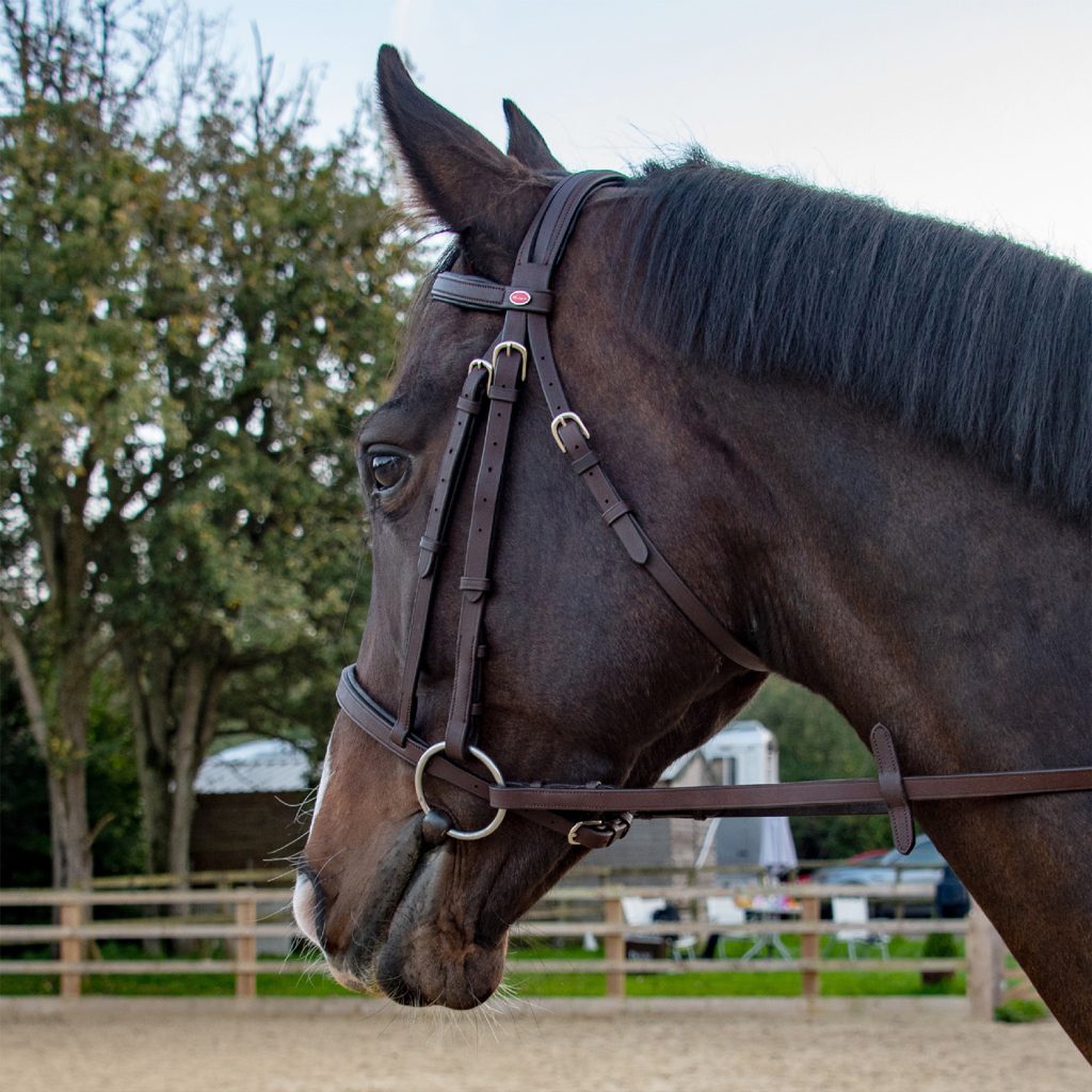 Whitaker Ready to Ride Snaffle Bridle Black & Havana