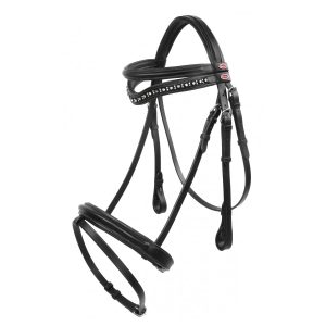 Whitaker Lynton Lynton Flash Bridle with 2 Browbands Black