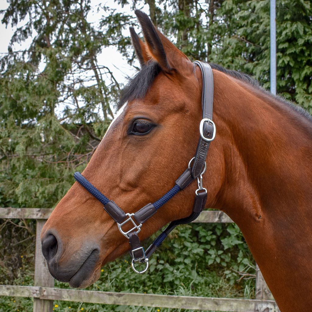 Whitaker Raywell Leather & Rope Headcollar brown/navy