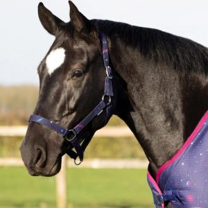 Hy Equestrian Out of this World Head Collar & Lead Rope Pony to Full