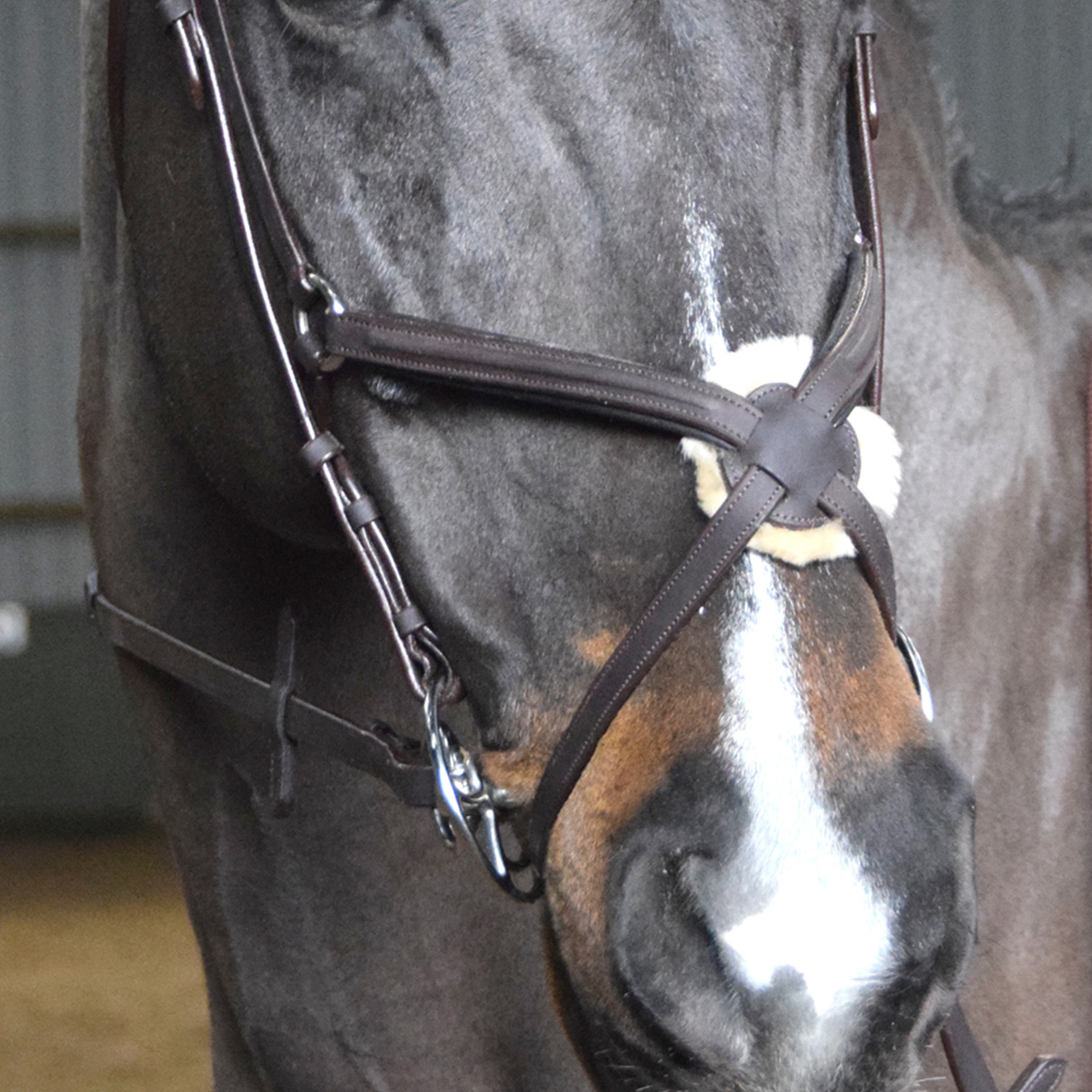 Whitaker Ready to Ride Mexican Bridle Black & Havana - Image 2