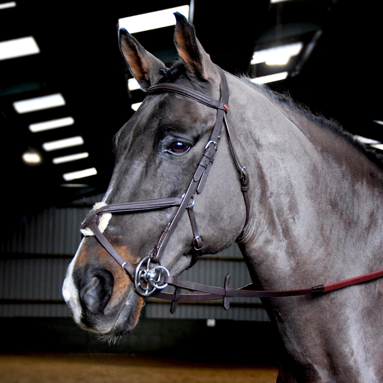 Whitaker Ready to Ride Mexican Bridle Black & Havana - Image 3