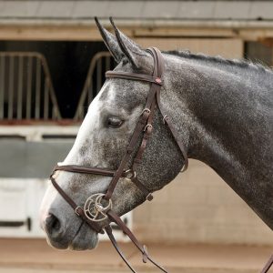 Whitaker Ready to Ride Mexican Bridle Black & Havana