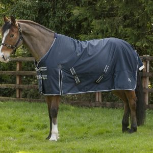 Rhinegold 100g ‘Arizona’ Turnout Rug 4'6 to 7'0