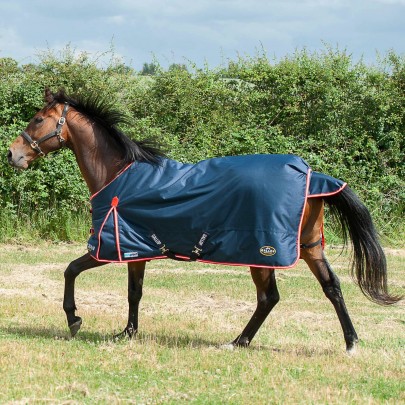 Gallop Trojan 200g Duraproof 600d Turnout Sizes 5'6 to 7'0