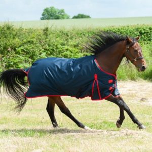 TROJAN 200g Standard Turnout Rug Sizes 6'6 & 7'0