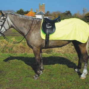 Rhinegold 3/4 Ride-On Rug Waterproof Hi-Viz