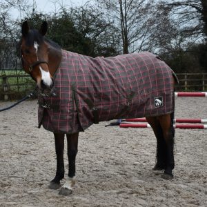 Whitaker Archie 200g Standard Turnout Rug Size 5'6