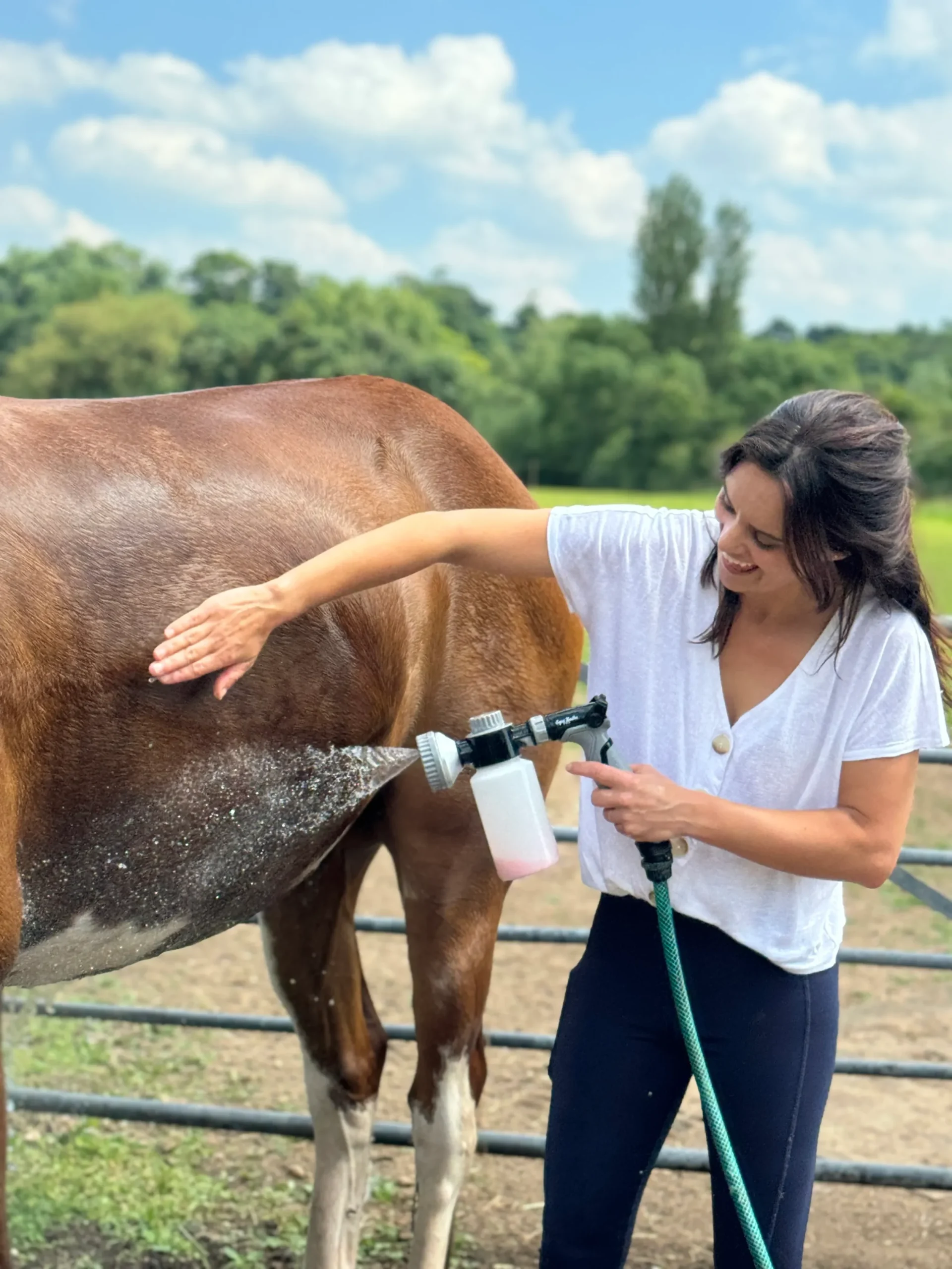 Parallax Equi Bathe Pro - Image 4