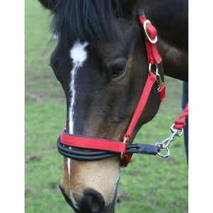 Ezyloader Head Collar Adapter