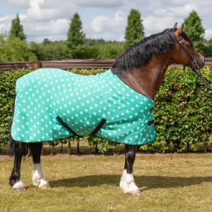 Supreme Products Dotty Fleece Rug Green Sizes 3'3 to 7'0