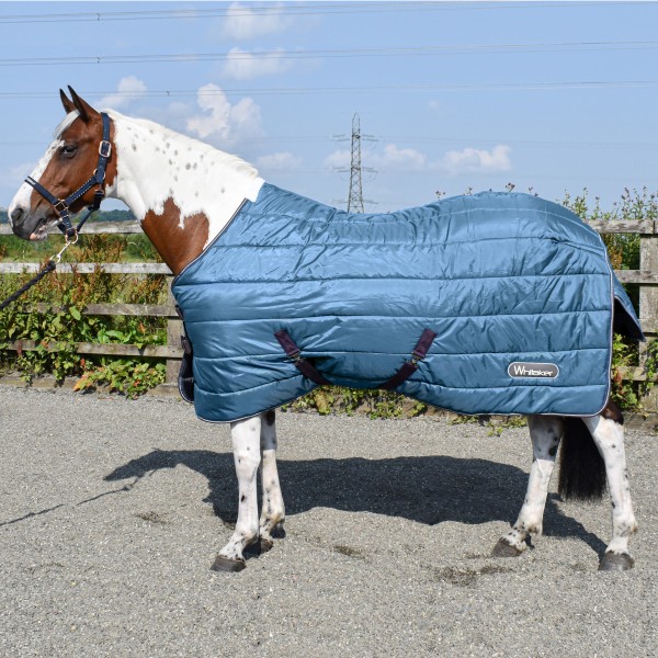 John Whitaker Lupin 200g Stable Rug 4'6 to 7'0