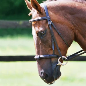 Equilibrium Net Relief Cavesson Muzzle Nets Black