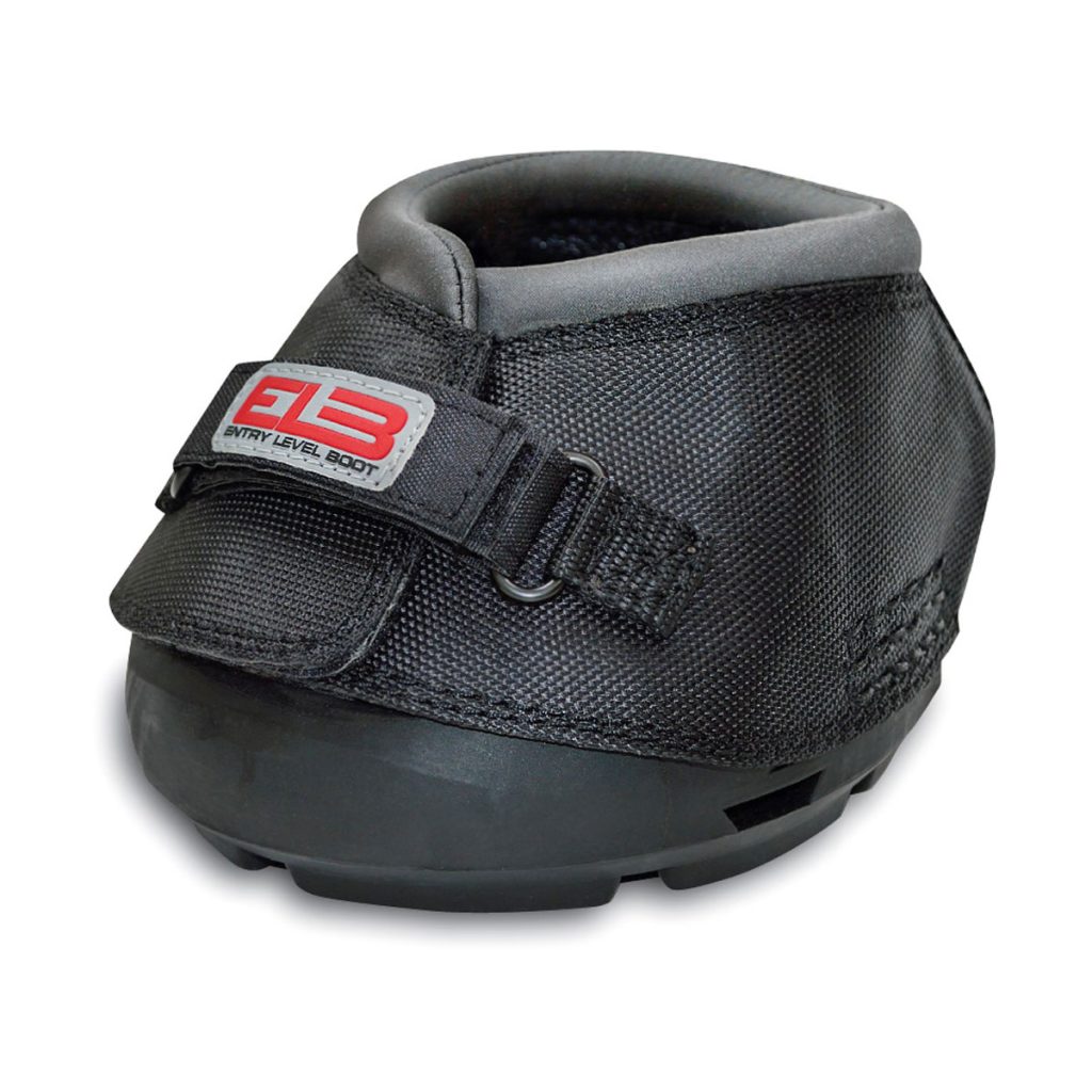 Cavallo Entry Level Boot - Regular