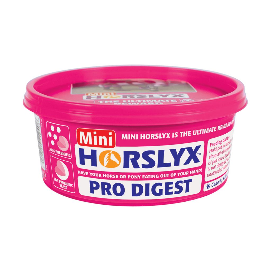 Horslyx Pro Digest Balancer