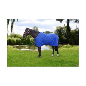StormX Original 100g Turnout Rug Size 6'0