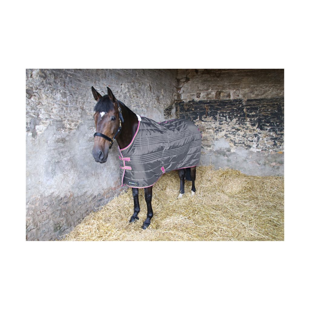 StormX Original 300 Stable Rug