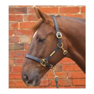 Hy Equestrian Leather Head Collar