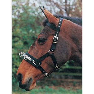 Hy Equestrian Lunge Cavesson