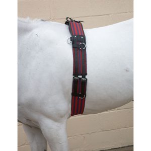 Hy Equestrian Training Roller