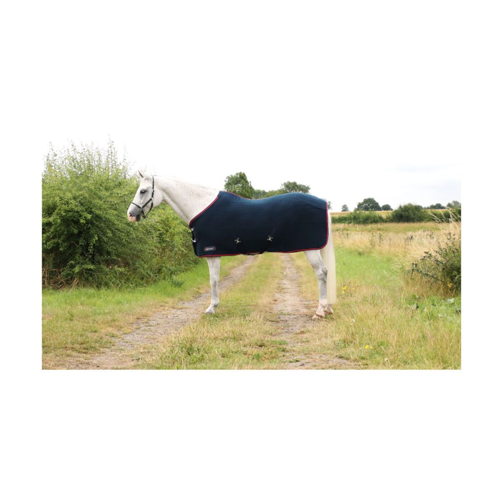 DefenceX System Cool Control Rug