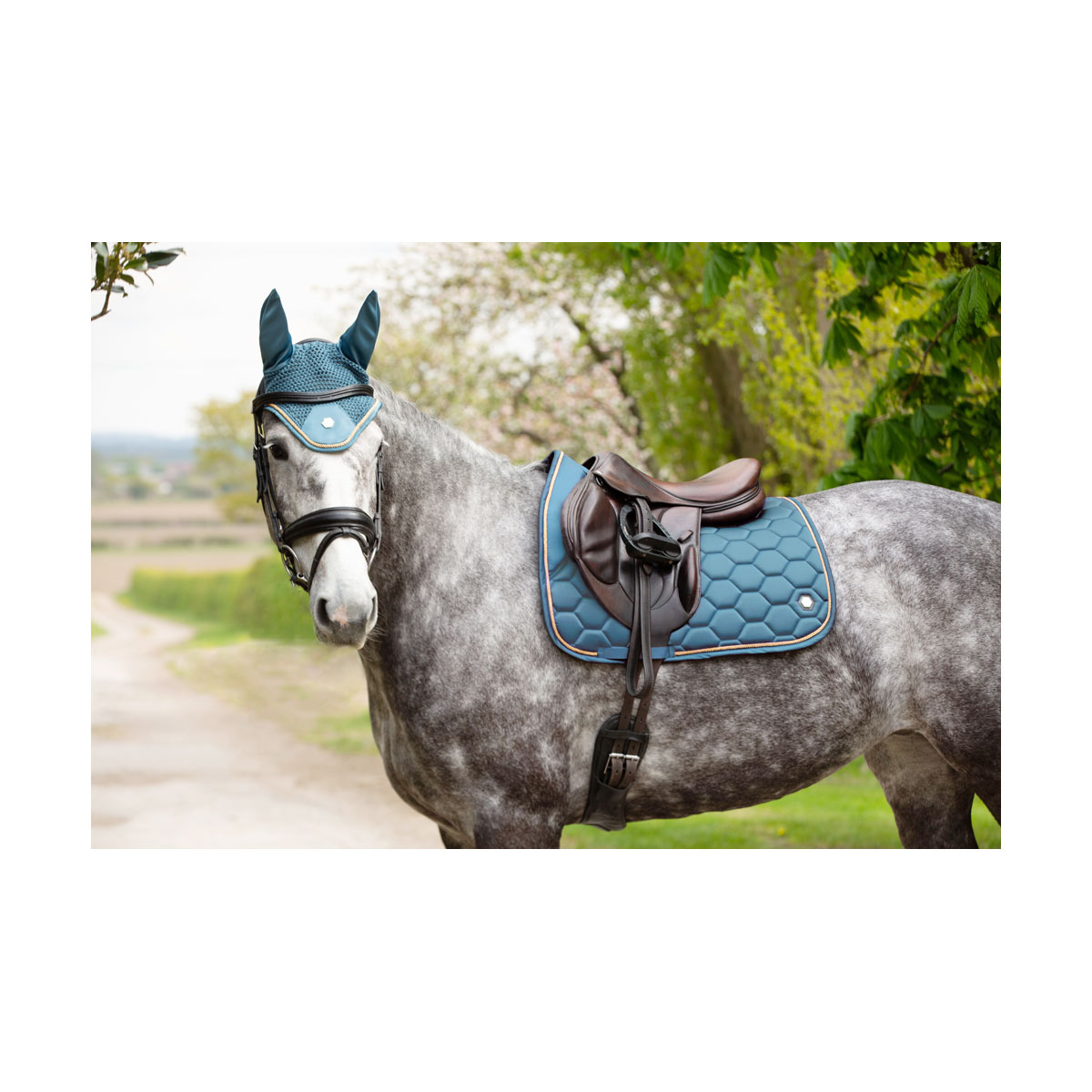 Coldstream Marygold Saddle Pad Slate Blue - Image 3