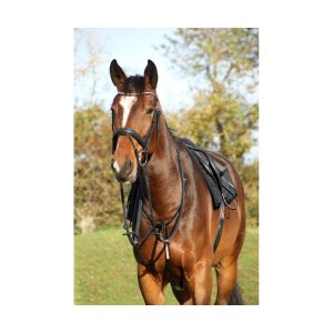 Hy Equestrian Rosciano Rose Gold Bridle