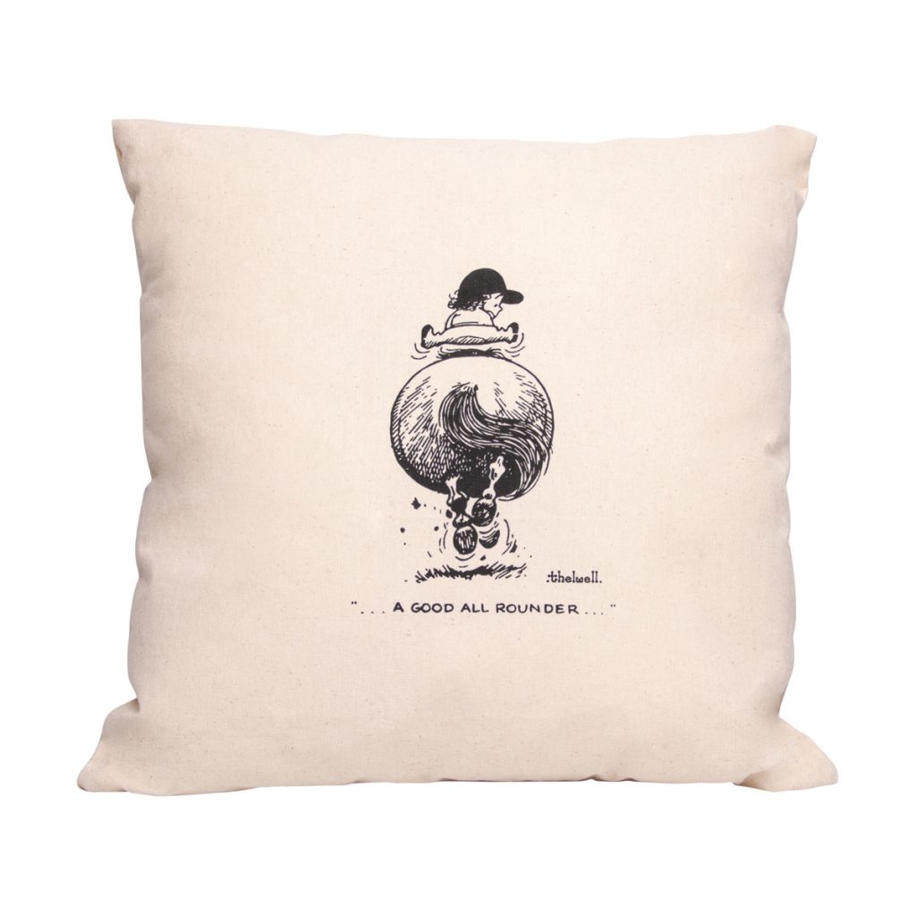 Hy Equestrian Thelwell Collection All Rounder Cushion